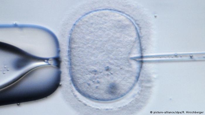 طريقة جديدة لمعرفة فرص الحمل قبل الحقن المجهري