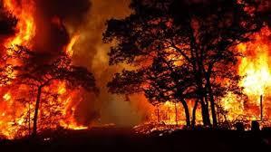 حرائق غابات ولاية تينيسي الأمريكية
