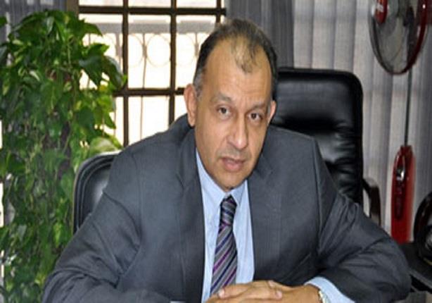 الدكتور وليد جمال الدين رئيس المجلس التصديري لمواد