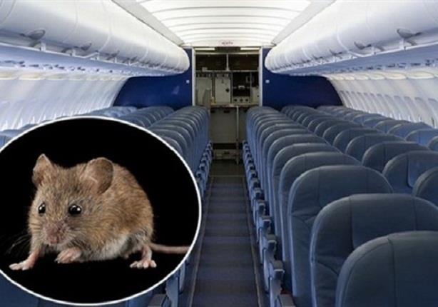 فأر يتسبب في عودة طائرة صينية بعد إقلاعها