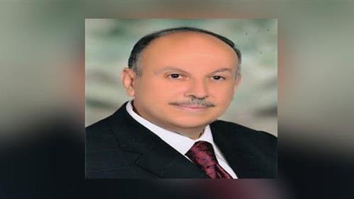 نائب وزير التعليم العالي الدكتور عصام خميس