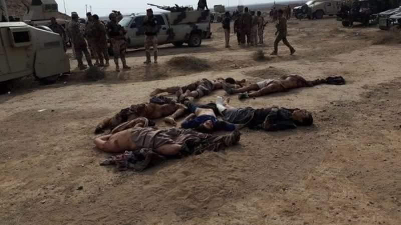 مقتل 86 إرهابيًا من "داعش" 