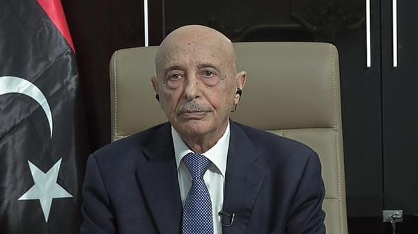عقيلة صالح" رئيس مجلس النواب الليبى