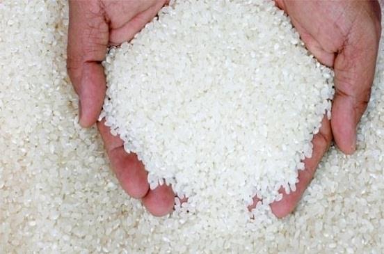 أسعار الأرز الأبيض                                