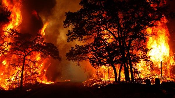 حرائق الغابات في كاليفورنيا ارشيفية