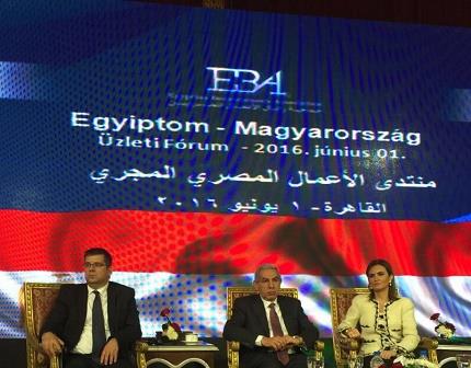 منتدى الأعمال المصري المجري