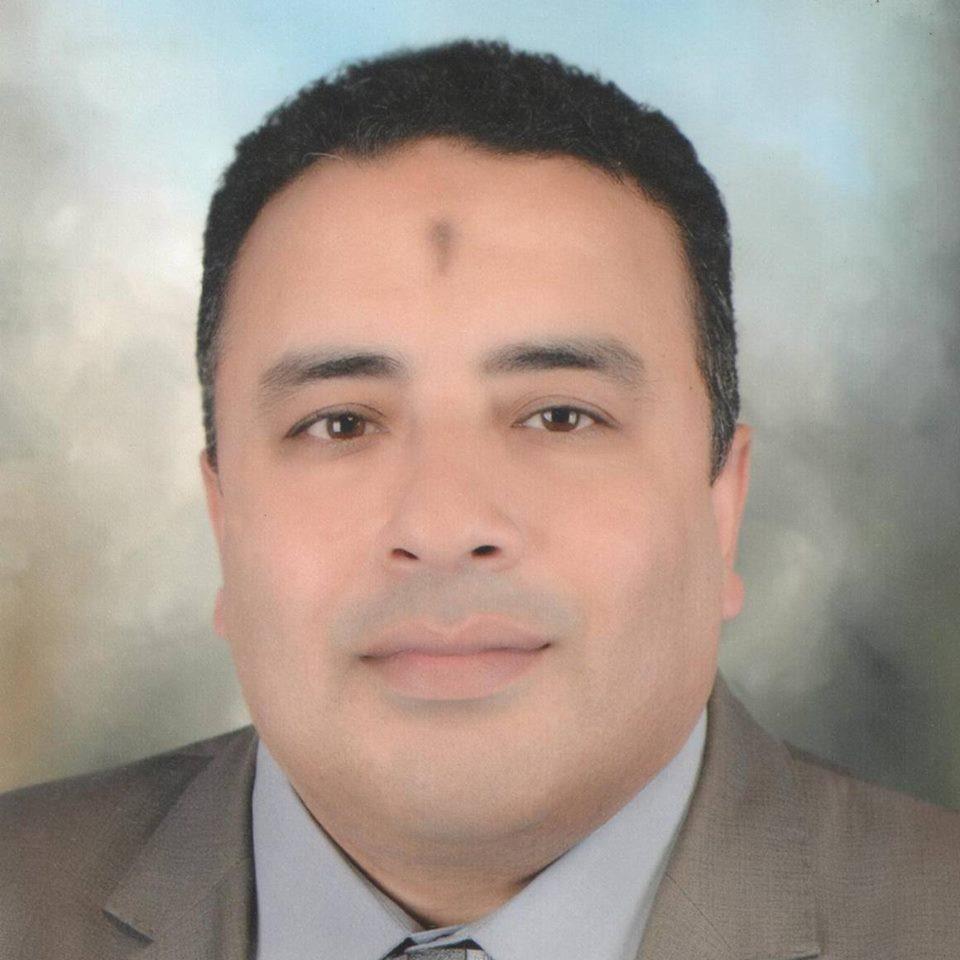 محمود حمدي المحامي