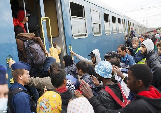 مهاجرين على الحدود الصربية المجرية