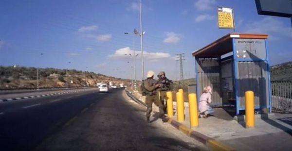 جميلة.. فلسطينية تطارد جنود إسرائيل