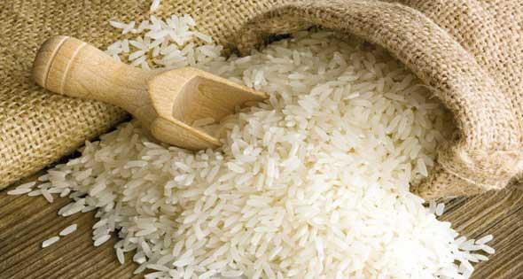 وقف تصدير الأرز يحرم مصر