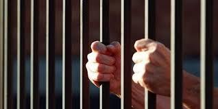حبس 13 متهمًا في قضية التلاعب في توريد الأقماح