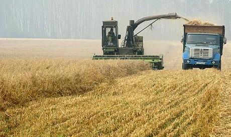 "الزراعة" ترد على تهديد روسيا بحظر المنتجات المصري