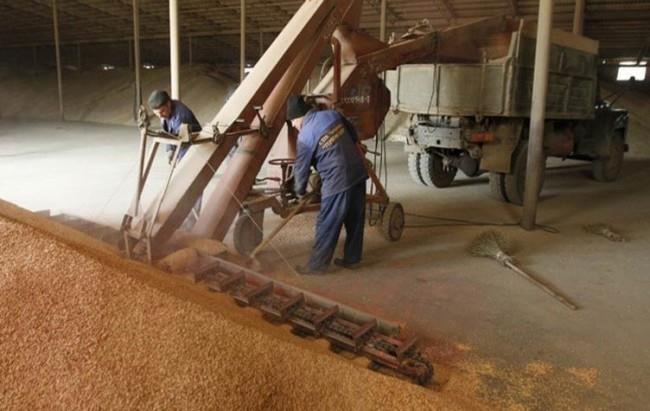 موسكو تطالب إيران برفع الحظر عن وارادت القمح الروس