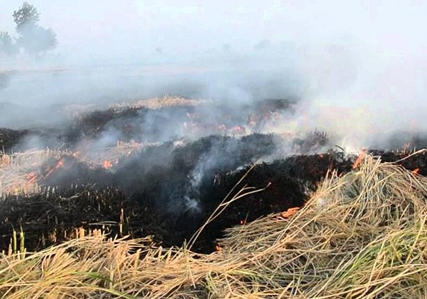 السيطرة على 67 حادث حرق قش أرز بالشرقية والبحيرة