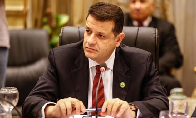 النائب طارق رضوان، عضو مجلس النواب عن حزب المصريين