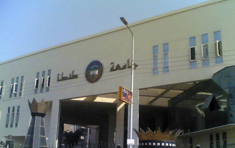 جامعة طنطا