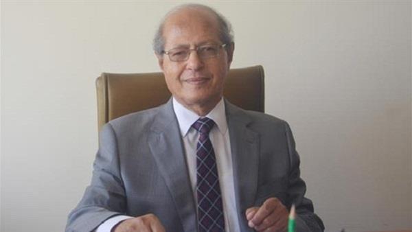 رخا أحمد حسن عضو المجلس المصري للشؤن الخارجية