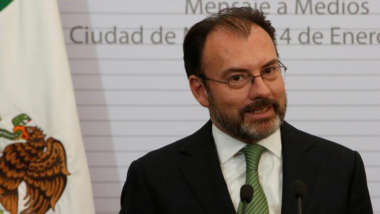 وزير الخارجية المكسيكي لويس فيدجاراي