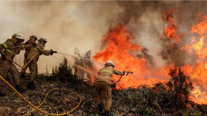حريق الغابات في البرتغال