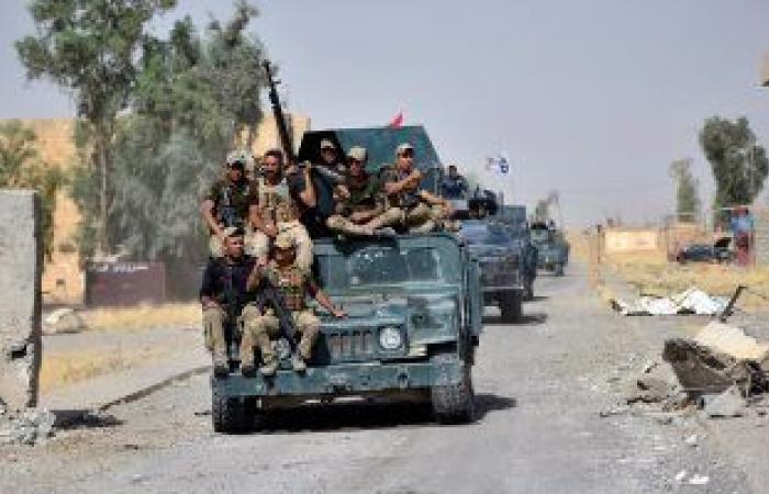 العراق  مقتل عدة عناصر من داعش على يد العشائر