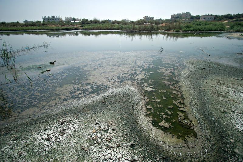 تلوث مياه نهر النيل                               