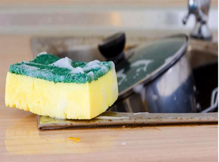 إسفنجة المطبخ.. هل تعقيمها يخلصك من البكتيريا العا