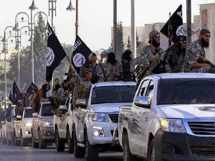 سيارات داعش