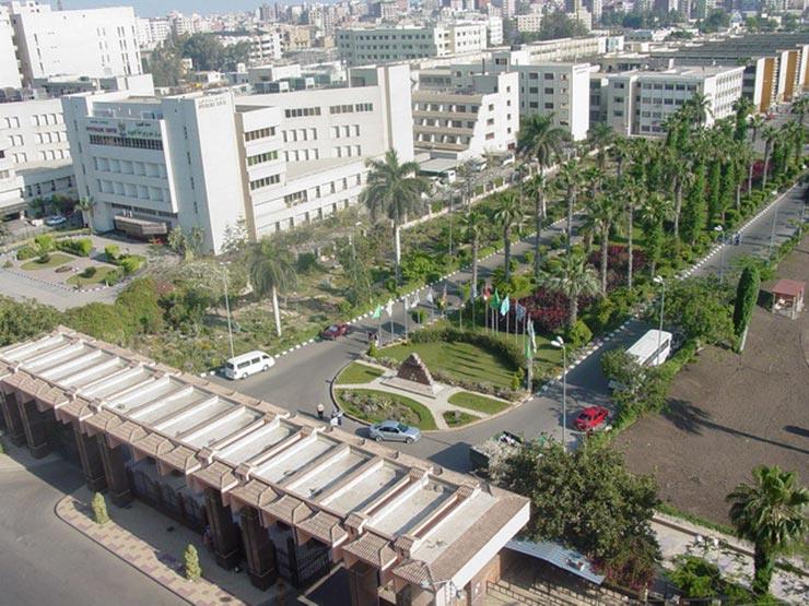 جامعة المنصورة