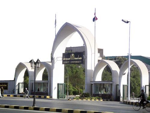 جامعة أسيوط