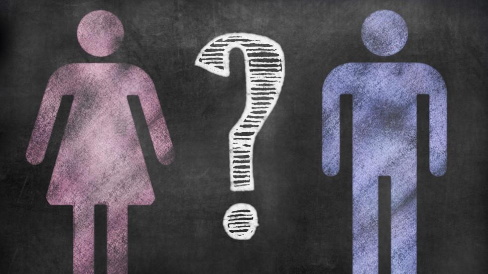 ما حكم الخلوة بين الجنسين في المذاهب الأربعة؟