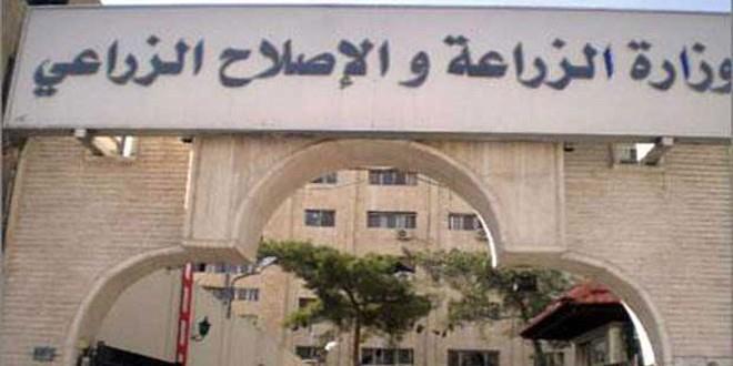 وزارة الزراعة