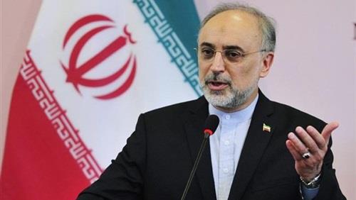رئيس المنظمة الإيرانية للطاقة النووية علي أكبر صال