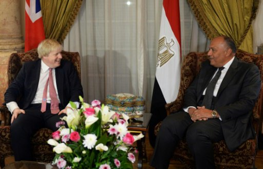 وزير الخارجية المصري سامح شكري (يمين) مستقبلا نظير