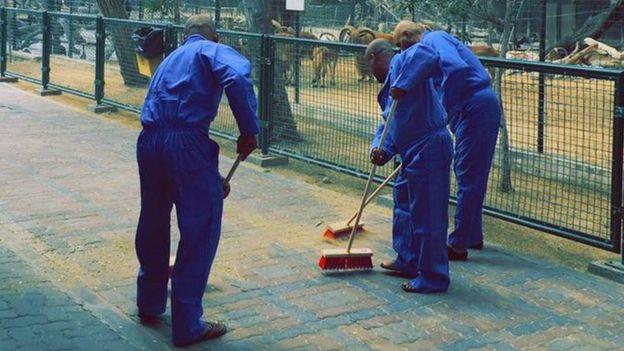 متهمون بتعذيب قطة سينظفون حديقة حيوانات دبي