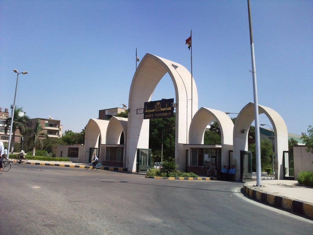 جامعة أسيوط