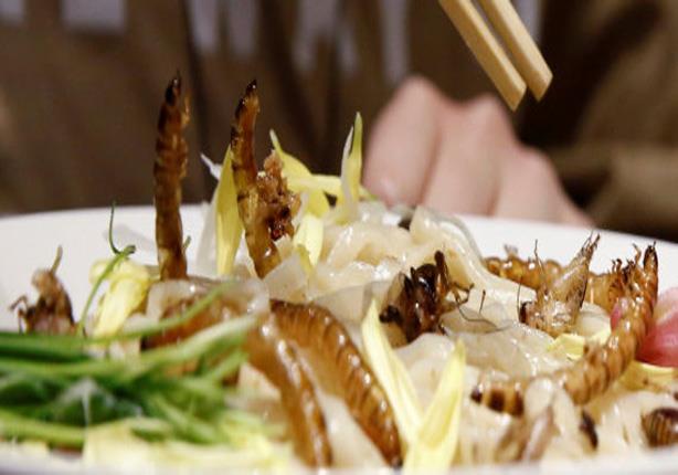  في اليابان.. إقبال شديد على مطعم يقدم وجبات "الصر