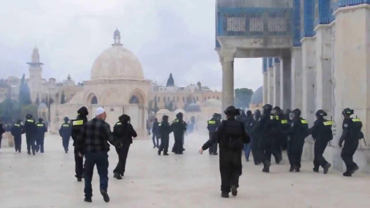 مستوطنين اقتحموا المسجد الأقصى                    