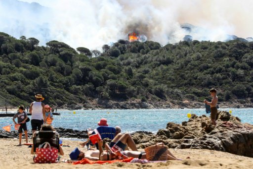 الحرائق تلتهم 65 ألف هكتار من الأراضي في فرنسا 