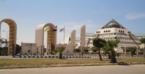  الجامعة المصرية اليابانية للعلوم والتكنولوجيا    