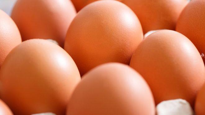 البيض الملوث
