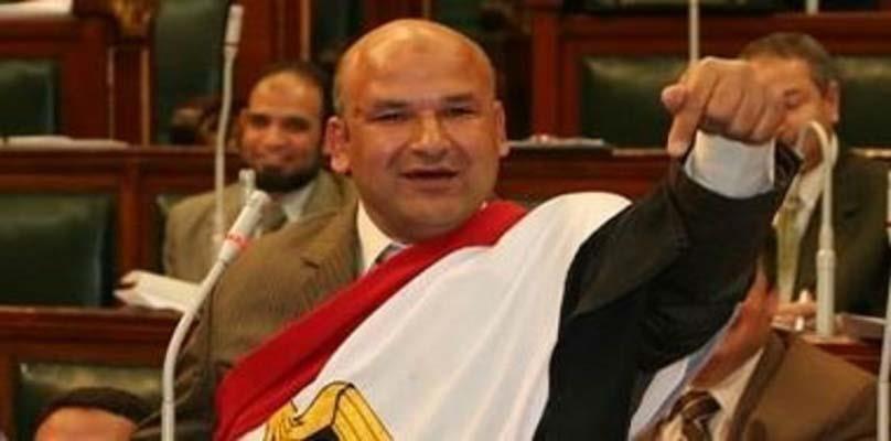 البرلماني السابق علاء حسانين                      