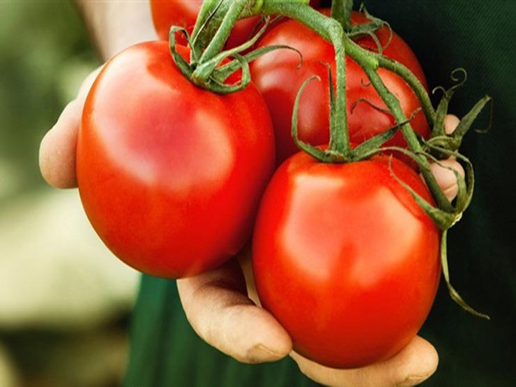   دراسة: الطماطم تحافظ على ليونة الجلد