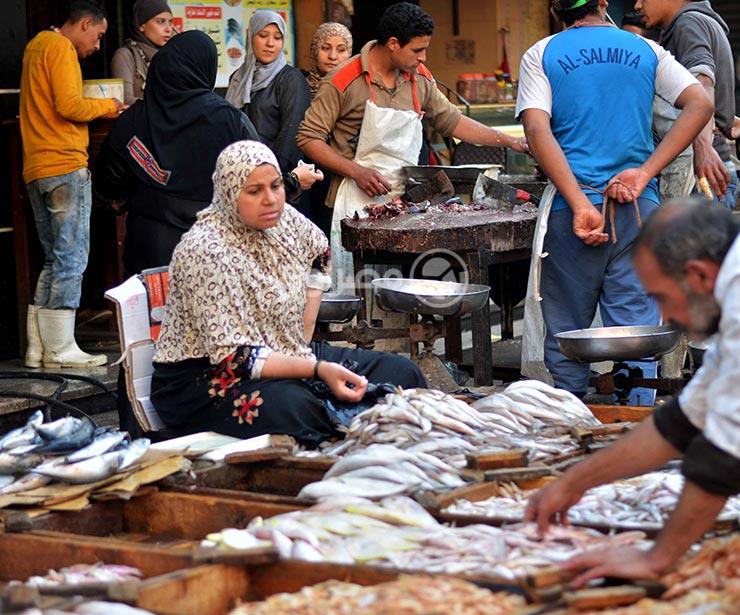 تراجع أسعار الأسماك بعد قرارالسعودية حظر استيرادها