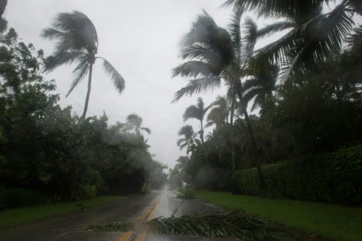 الرياح العاتية المرافقة للإعصار إيرما تعصف بأشجار 