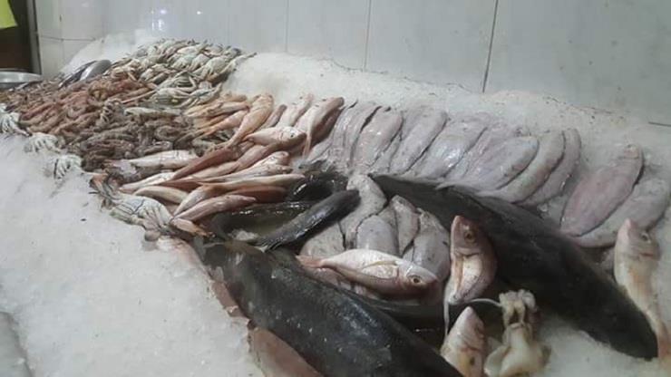 أسعار الأسماك بأسواق دمياط في العام الجديد