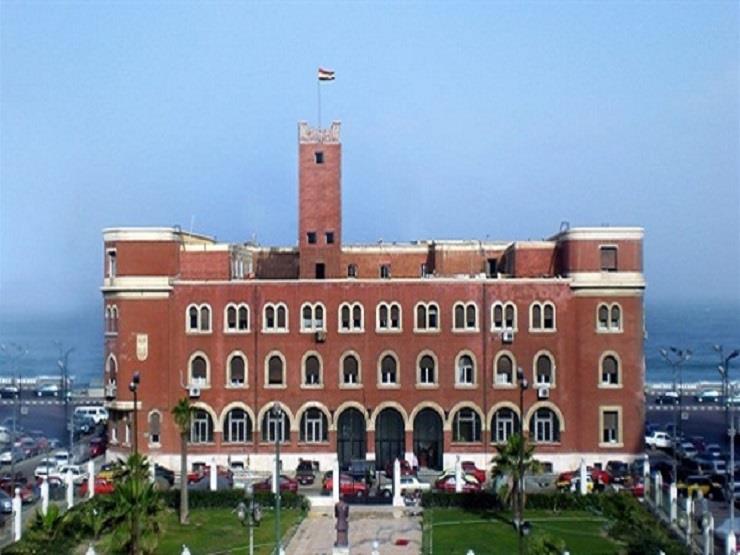 جامعة الإسكندرية