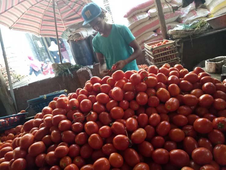 الطماطم تساهم في زيادة التضخم الشهري