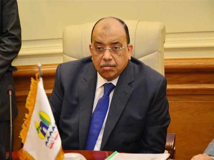 وزير التمنية المحلية اللواء محمود شعراوي
