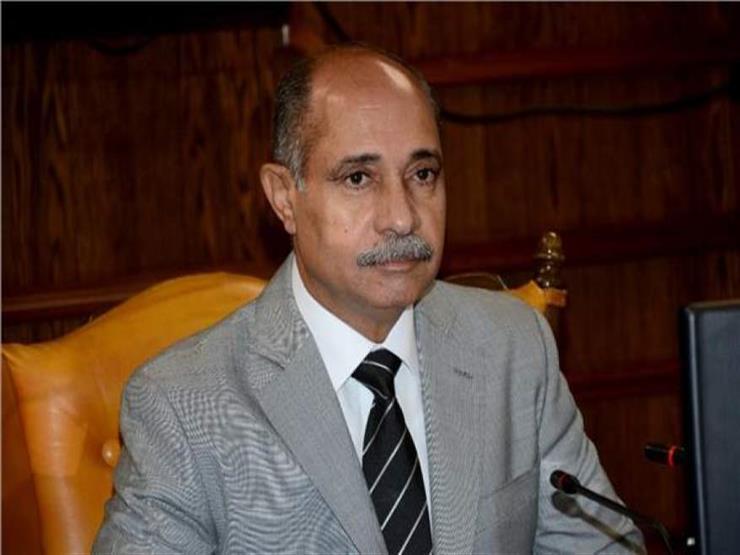 وزير الطيران المدني يونس المصري