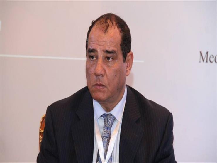 الدكتور ثروت الزيني عضو مجلس إدارة اتحاد منتجي الد